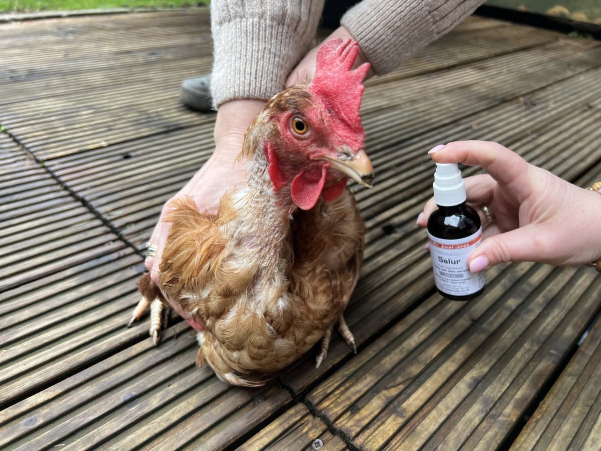 Unique animal care
