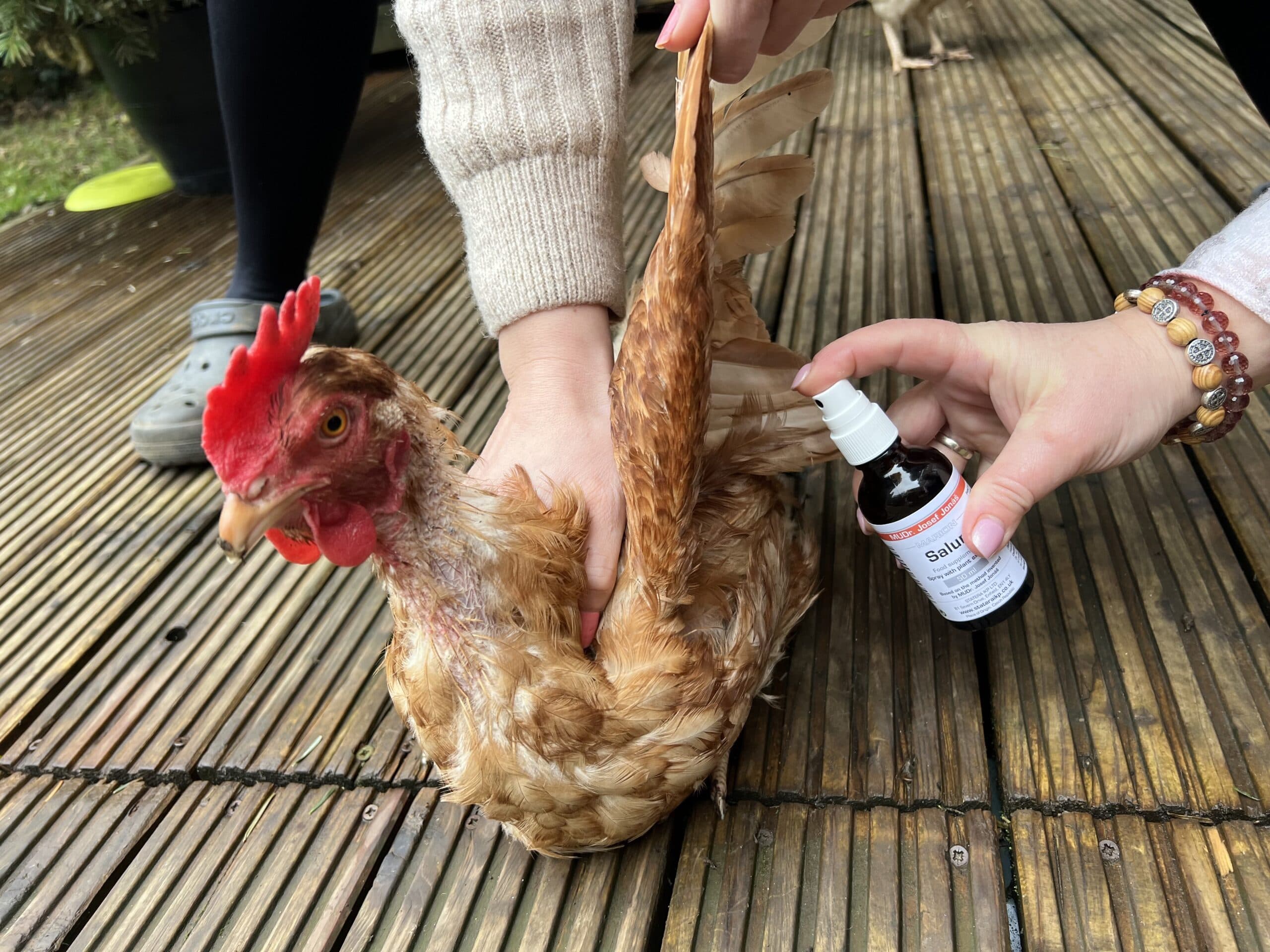 Animal care
