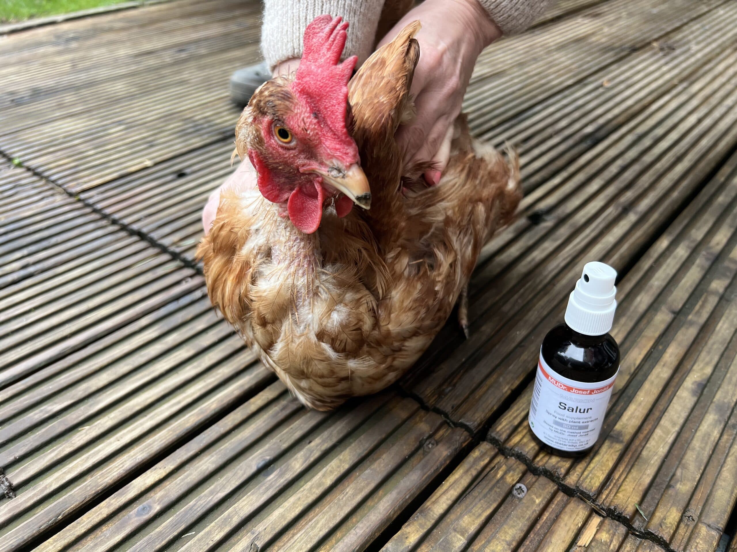 Animal wellness