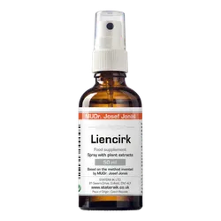 Liencirk
